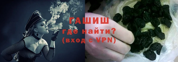 индика Белокуриха
