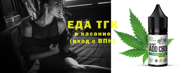 индика Белокуриха