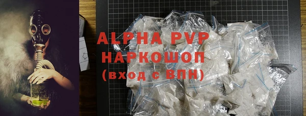 индика Белокуриха