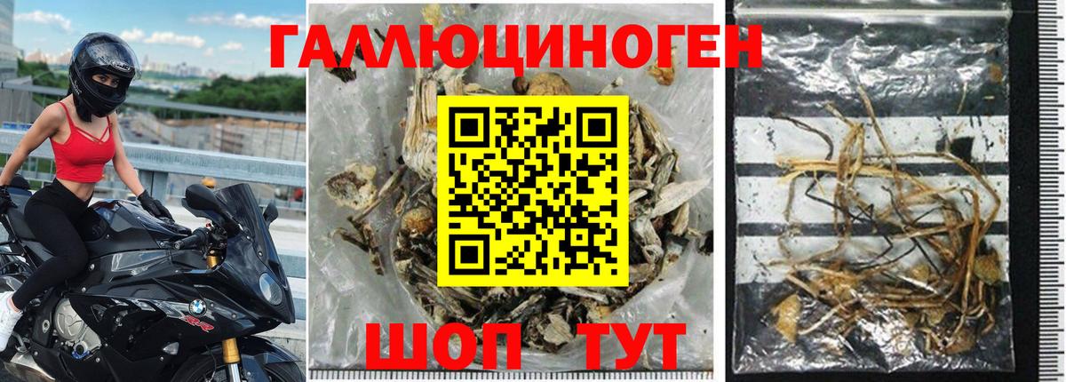 Псилоцибиновые грибы MAGIC MUSHROOMS  Горячий Ключ 