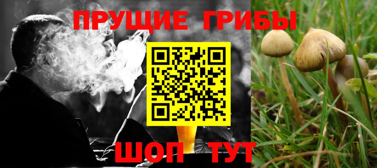 Галлюциногенные грибы прущие грибы  Галлюциногенные грибы мицелий  Горячий Ключ  Вход с VPN 